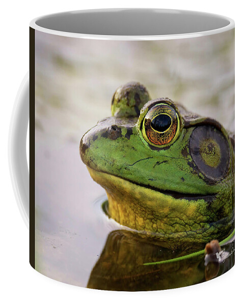 Nature Coffee Mug featuring the photograph Bob the Snob by Linda Shannon Morgan