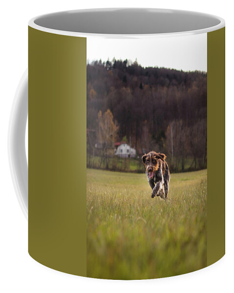 Bohemian Wire Coffee Mug featuring the photograph Bohemian wire dog by Vaclav Sonnek