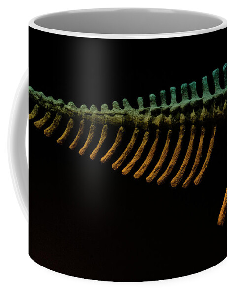 Science Coffee Mug featuring the photograph Bones by Cynthia Dickinson