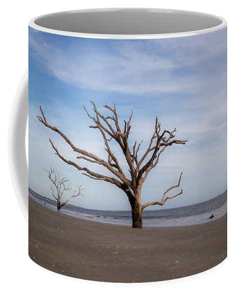 Bare Coffee Mug featuring the photograph Boneyard Beach by Cindy Robinson