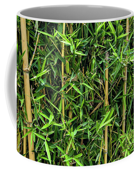 Bamboo Coffee Mug featuring the photograph Bordo Park Bamboo by William Scott Koenig