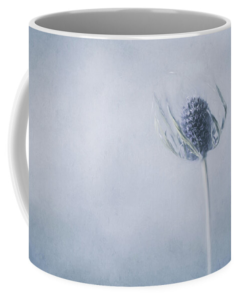Botanical Coffee Mug featuring the photograph Botanical 4 by Connie Carr