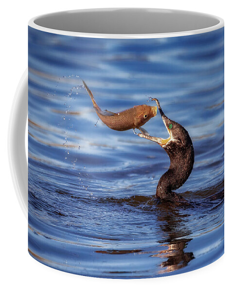 Arboretum Coffee Mug featuring the photograph Bottoms Up by Rick Furmanek