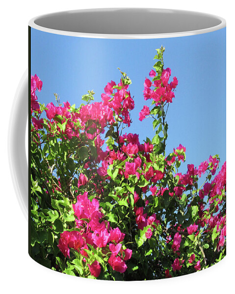 Bougainvillea Coffee Mug featuring the photograph Bougainvillea 1 by Randall Weidner