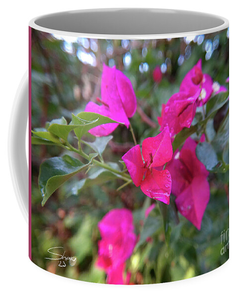 Bougainvillea Coffee Mug featuring the photograph Bougainvillea Near Sunset by Rohvannyn Shaw