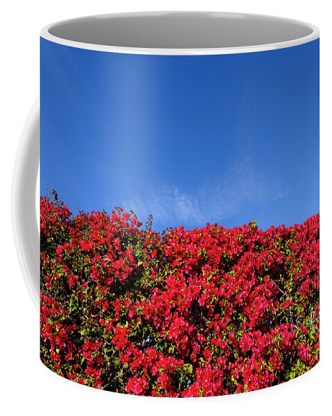 Blue Sky Coffee Mug featuring the photograph Bougainvillea Palm Springs California 0437 by Amyn Nasser