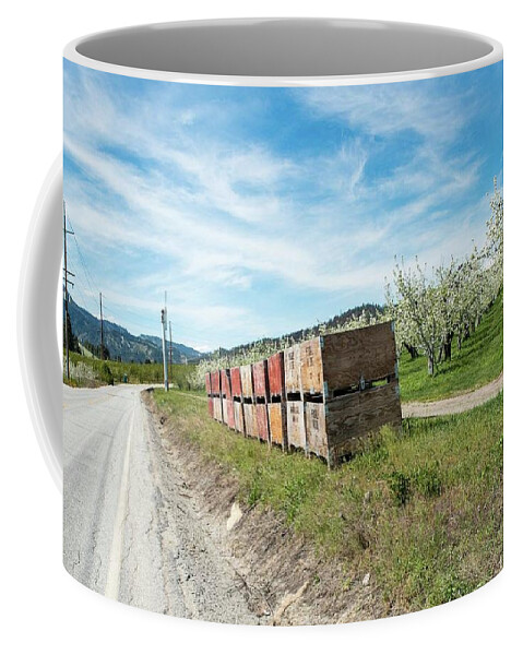 Boxes And Blossoms Coffee Mug featuring the photograph Boxes and Blossoms by Tom Cochran