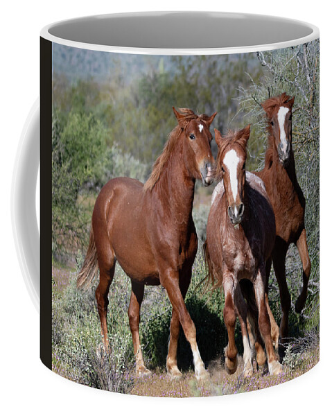 Wild Horses Coffee Mug featuring the photograph Boy band by Mary Hone