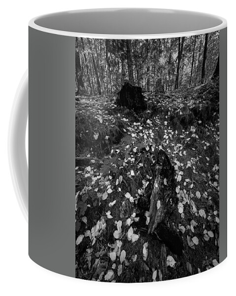 Boyden Coffee Mug featuring the photograph Boyden XVI BW by David Gordon