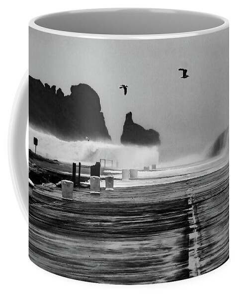 Howth Coffee Mug featuring the photograph Brave Birds, Winter Storm - Howth, Dublin by John Soffe
