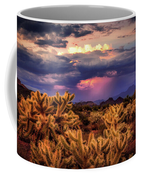 American Southwest Coffee Mug featuring the photograph Break in the Heat by Rick Furmanek