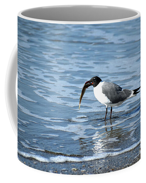 Seagull Coffee Mug featuring the photograph Breakfast by Roberta Byram
