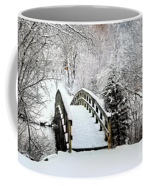 Footbridge Coffee Mug featuring the photograph Bridge over Jenney Pond in Winter by Janice Drew