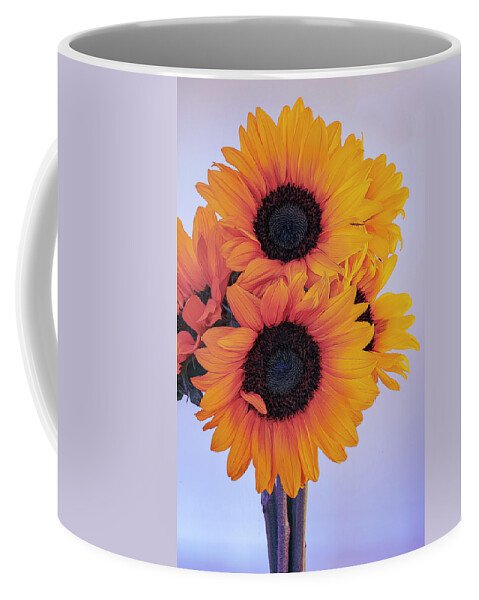 Petals Coffee Mug featuring the photograph Bright and Beautiful Sunflowers 5 by Lindsay Thomson