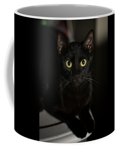 Cat Coffee Mug featuring the photograph Bright Eyes by DArcy Evans