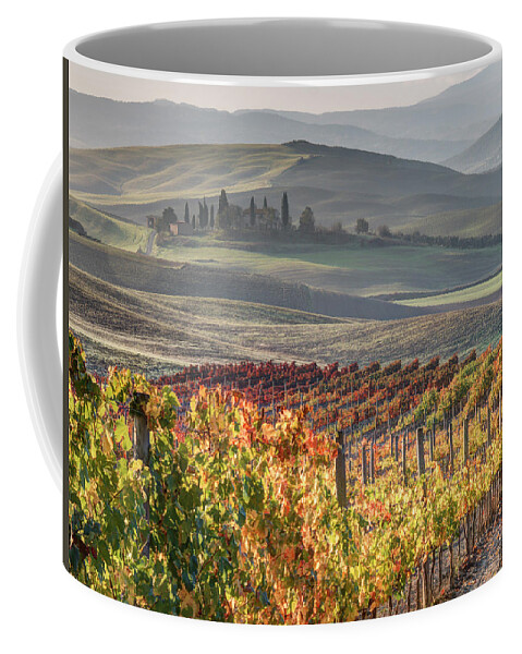 Agricultural Field Coffee Mug featuring the photograph Bright vines by Eggers Photography