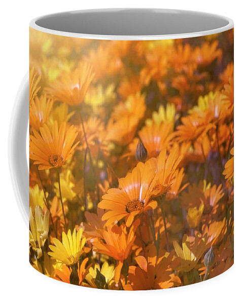 Smile Coffee Mug featuring the photograph All It Takes Is A Smile by Lucinda Walter