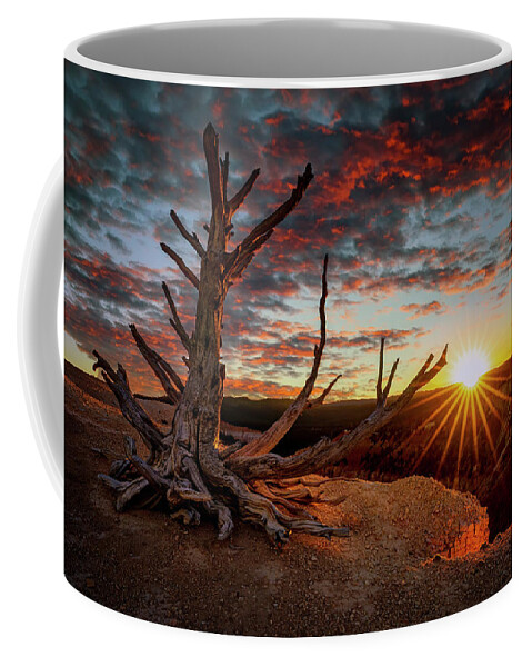 Bristlecone Coffee Mug featuring the photograph Bristlecone Sunset by David Soldano