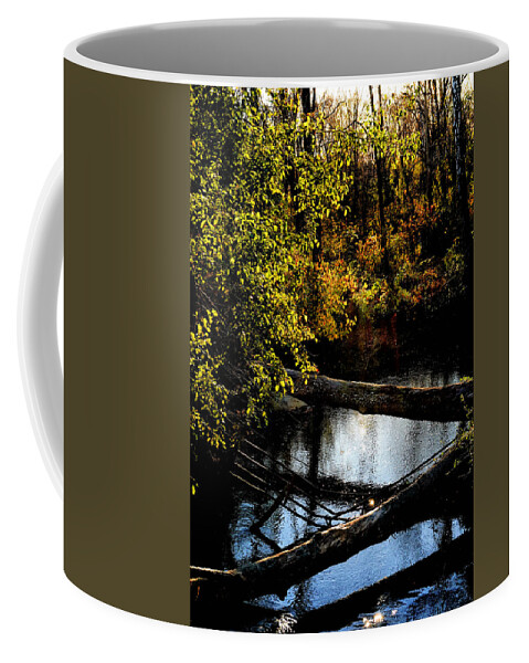 Tranquil Coffee Mug featuring the photograph Broad Run Autumn No. 1 by Steve Ember