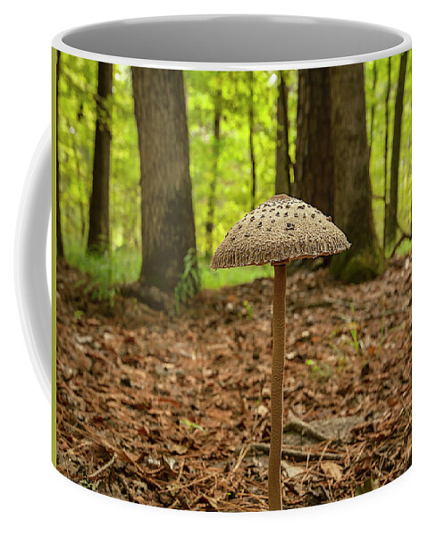 Nature Coffee Mug featuring the photograph Broken Bow Mushroom by Scott Cordell