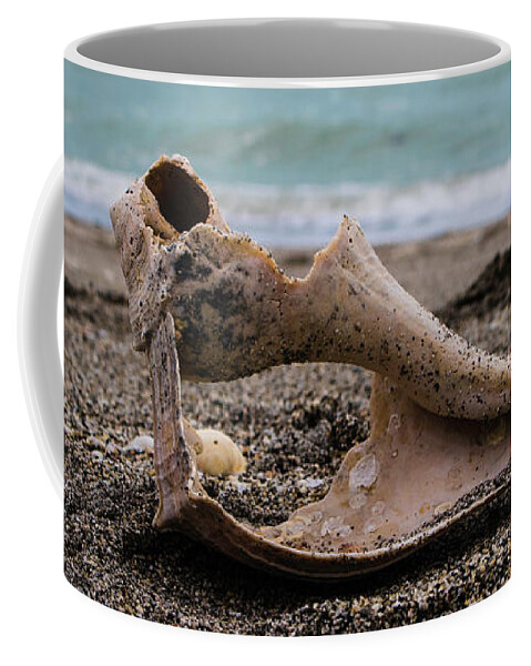 Natural Coffee Mug featuring the photograph Broken Yet Beautiful by Robert Wilder Jr
