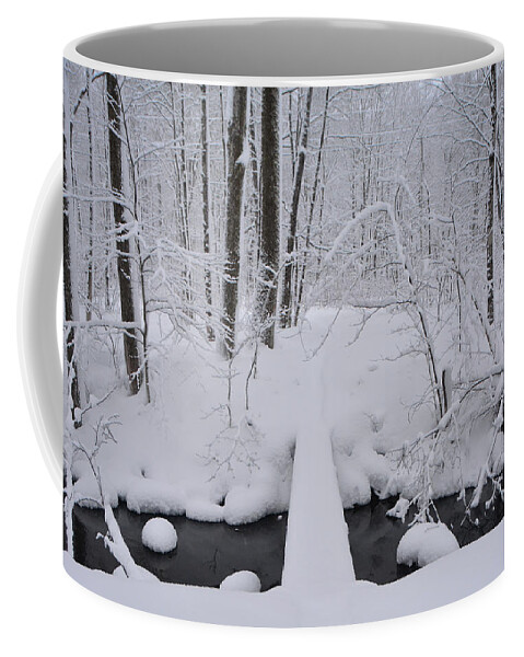 Bromley Brook With Snow Coffee Mug featuring the photograph Bromley Brook with Snow 3 by Raymond Salani III