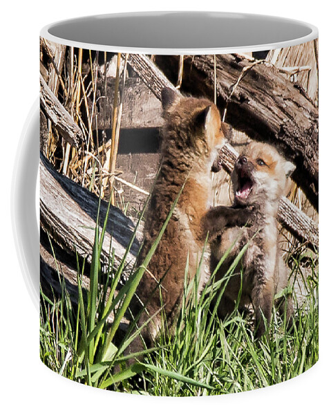 Fox Coffee Mug featuring the photograph Brotherly Love by Joe Granita