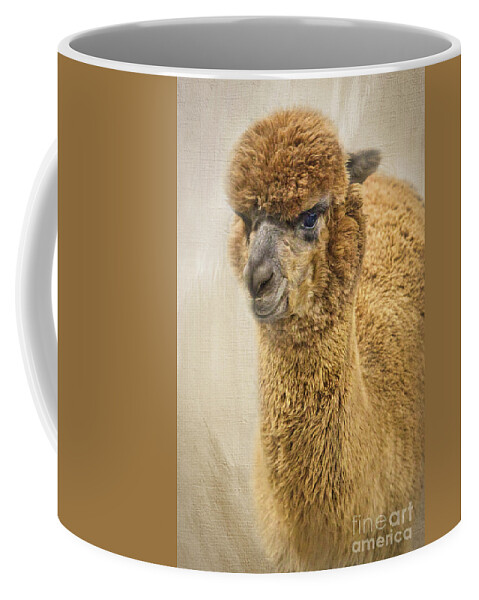 Alpaca Coffee Mug featuring the photograph Brown Alpaca by Amy Dundon