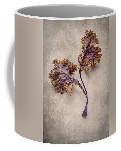 Still Life Coffee Mug featuring the photograph Brown and violet duet by Jaroslaw Blaminsky