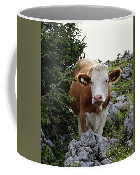 Hochkar Coffee Mug featuring the photograph Lady Cow by Vaclav Sonnek