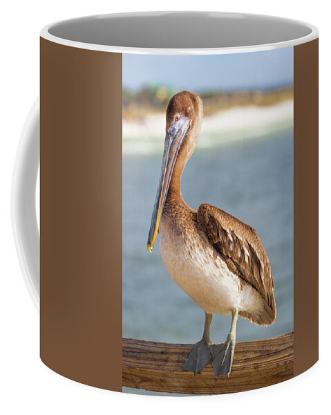 Brown Pelican Hunting On the Pier Coffee Mug by Jordan Hill - Jordan Hill -  Artist Website