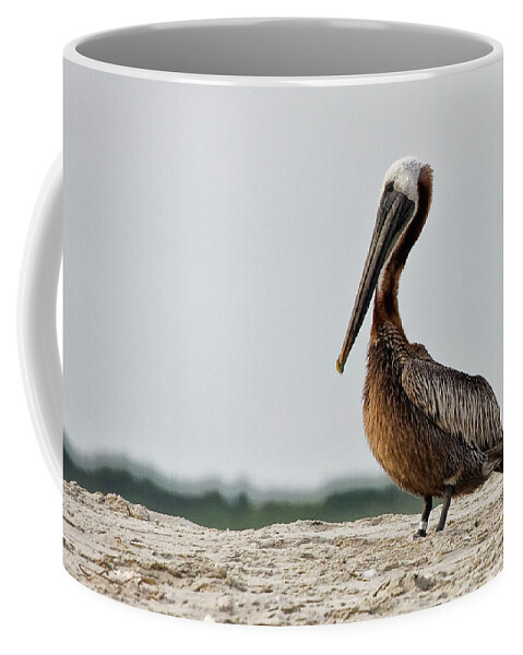 Brown Pelican on North Carolina Beach Coffee Mug by Bob Decker - Pixels