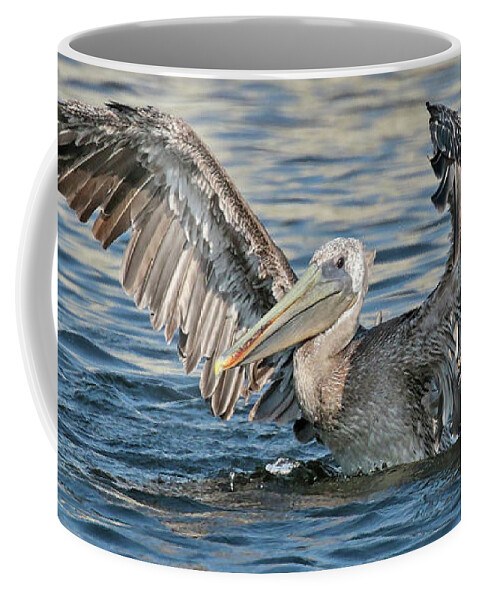  Coffee Mug featuring the photograph Brown Pelicans #2 by Carla Brennan