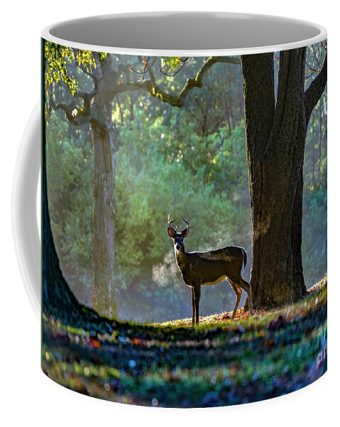 White Tailed Deer Coffee Mug featuring the photograph Buck Breath by Sandra Rust