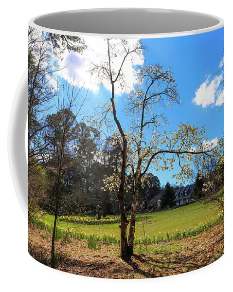 Butterfly Coffee Mug featuring the photograph Budding Blossoms in the Garden by Marcus Jones