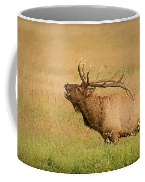 Elk Coffee Mug featuring the photograph Bugling Bull Elk at Sunset by Vicki Stansbury