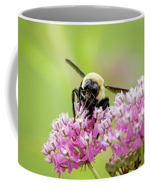Bees Coffee Mug featuring the photograph Bumblebee on Flower by Julie Barrick