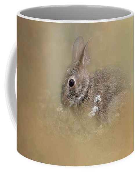 Bunny Coffee Mug featuring the photograph Bunny Eating Clover by Marjorie Whitley