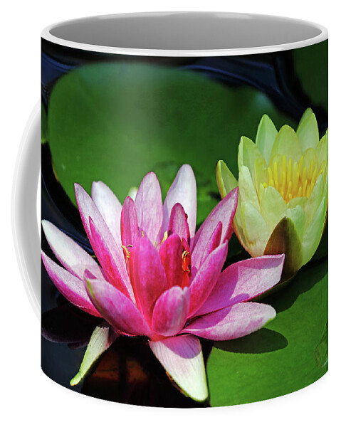 Lilies Coffee Mug featuring the photograph Burgundy Red And Yellow Lilies by Debbie Oppermann