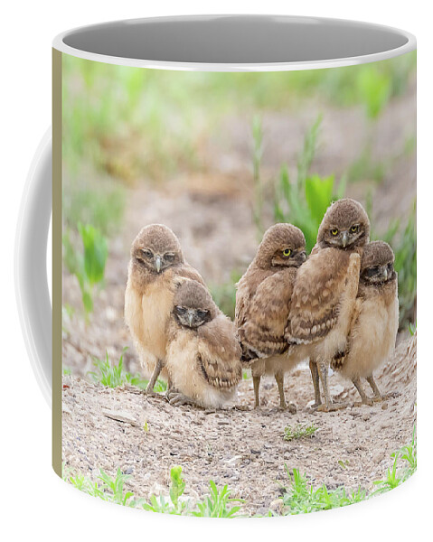 Burrowing Owl Coffee Mug featuring the photograph Burrowing Owlets by Vicki Stansbury