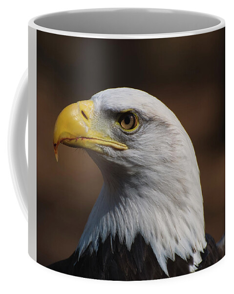 Bald Eagle Coffee Mug featuring the photograph bust image of a Bald Eagle by Flees Photos