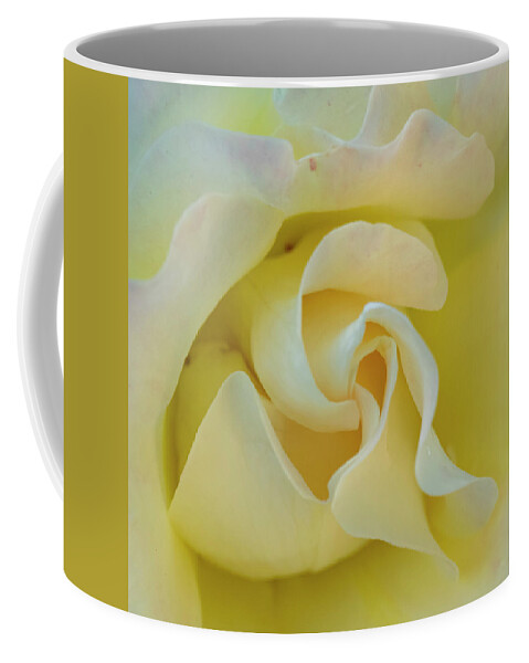 Rose Coffee Mug featuring the photograph Butter Cream by Cathy Kovarik