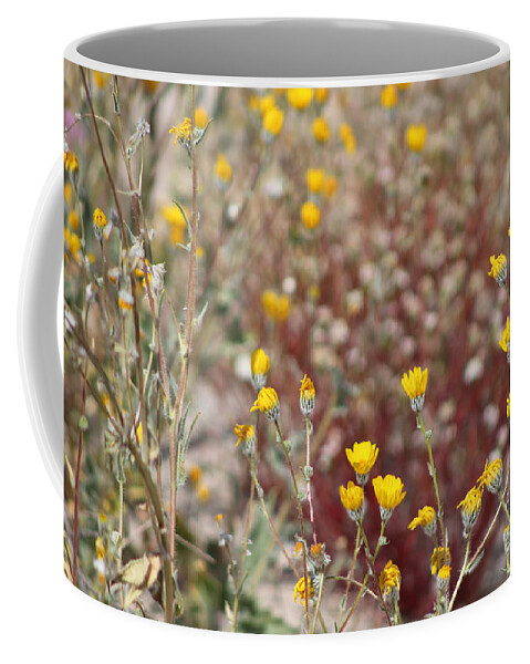 Desert Oasis Coffee Mug featuring the photograph Butter Yellow Wildflowers in Coachella Valley Wildlife Preserve by Colleen Cornelius
