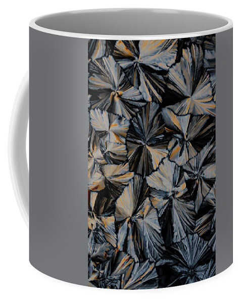 Crystal Coffee Mug featuring the photograph Butterflies by Jaroslaw Blaminsky