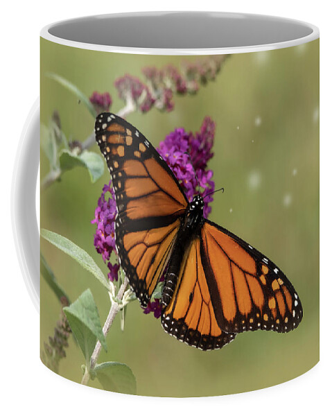Monarch Butterfly Coffee Mug featuring the photograph Butterfly Art by Sandra J's