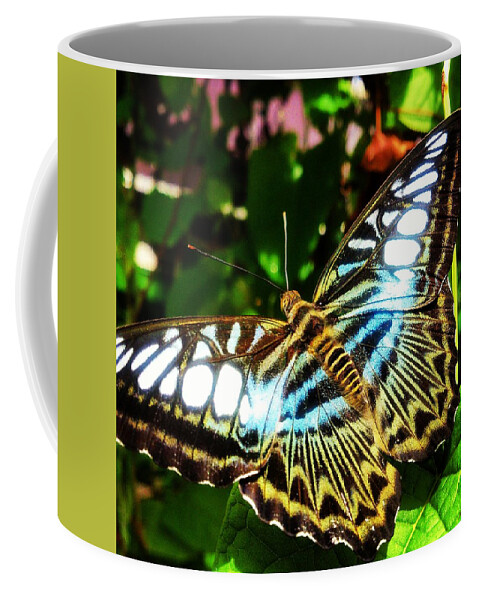 Butterfly Coffee Mug featuring the photograph Butterfly by Faa shie