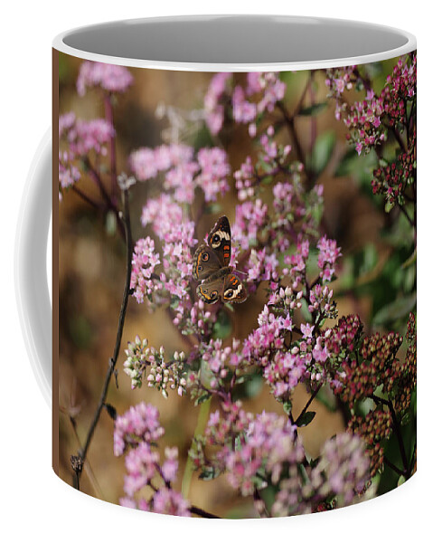 Butterfly Coffee Mug featuring the photograph Butterfly by Grant Twiss