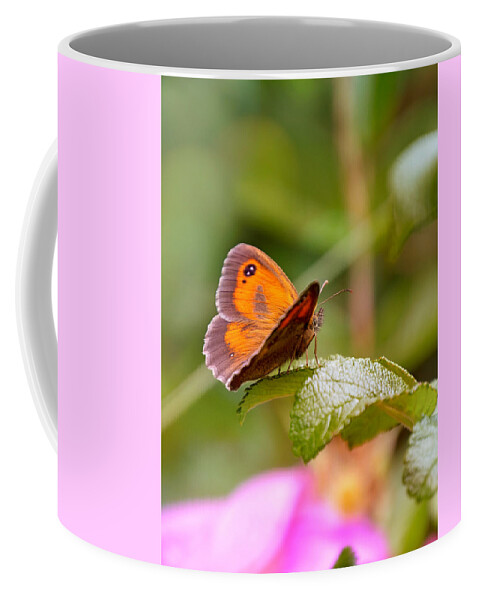 Butterfly Coffee Mug featuring the photograph Butterfly by Jaroslav Buna