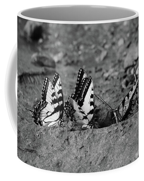 Butterflies Coffee Mug featuring the photograph Butterfly Nation Swallowtail Butterflies Black and White by Demetrai Johnson