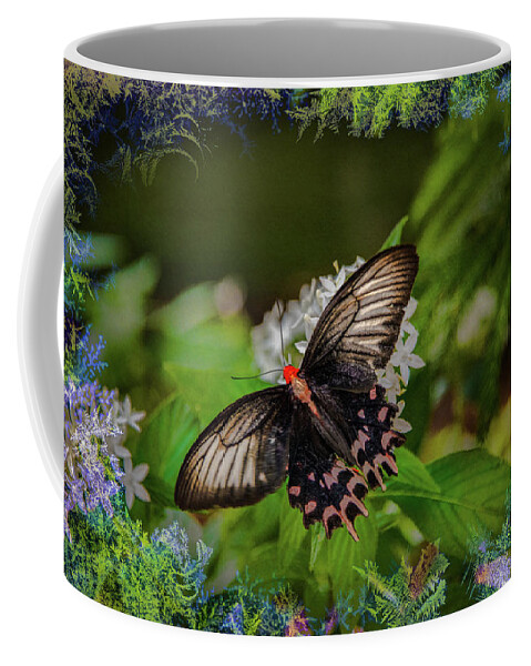 Face Mask Coffee Mug featuring the photograph Butterfly with borders by Patricia Dennis